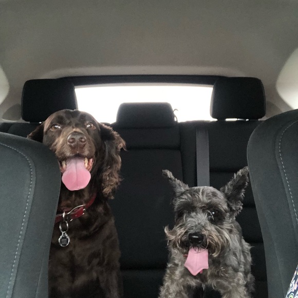 Meet your Posher, Beth - Picture 1 of 1